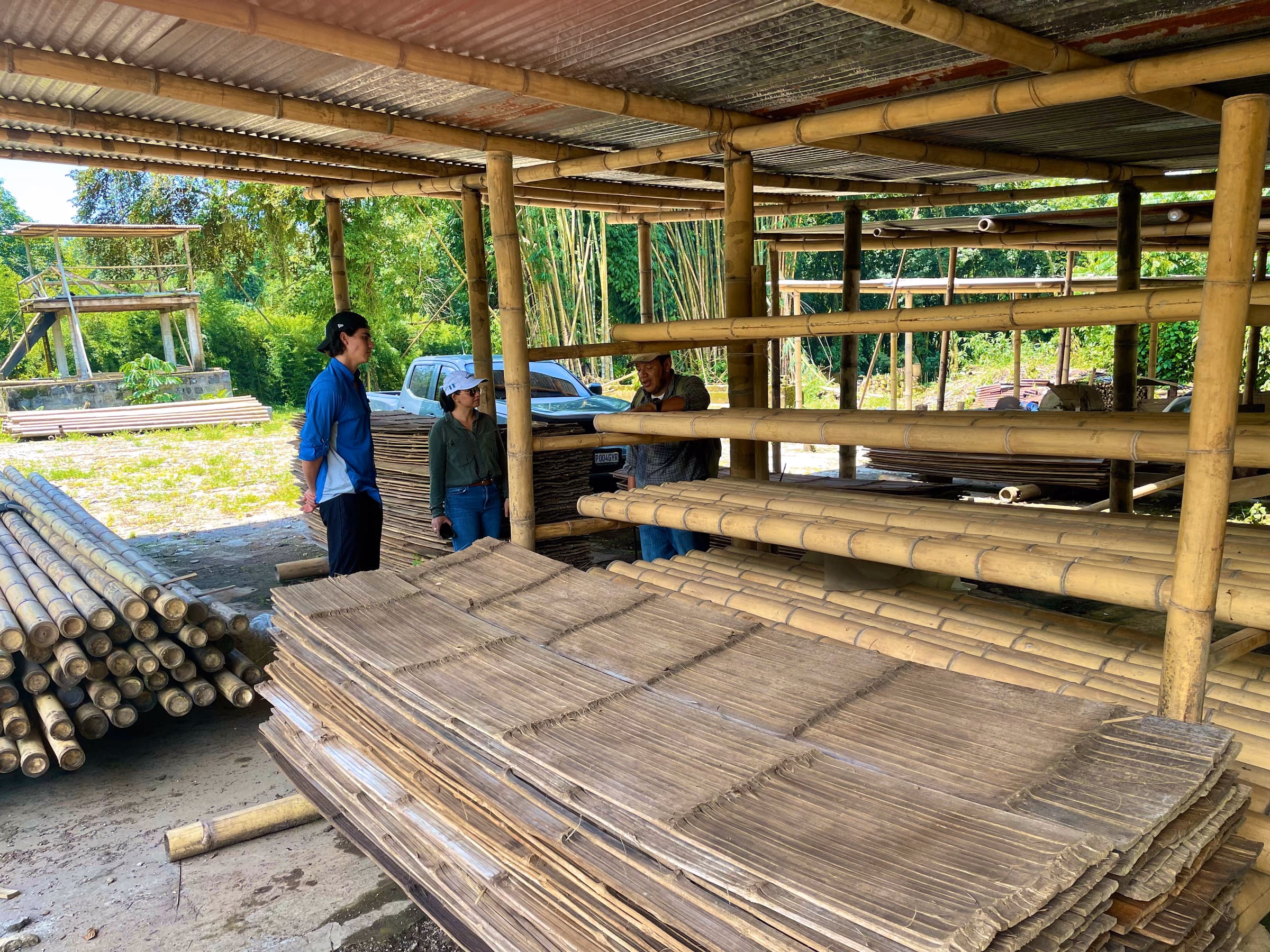 Esterilla — tejido de bambú para construcción
